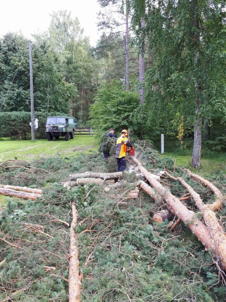 okste purustamine ladvast kännuni