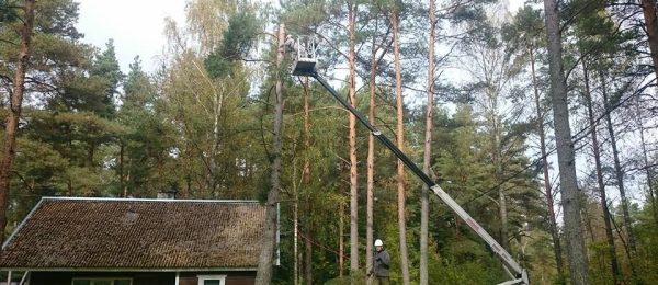 Kolgaküla-krvtõstukitöö-1